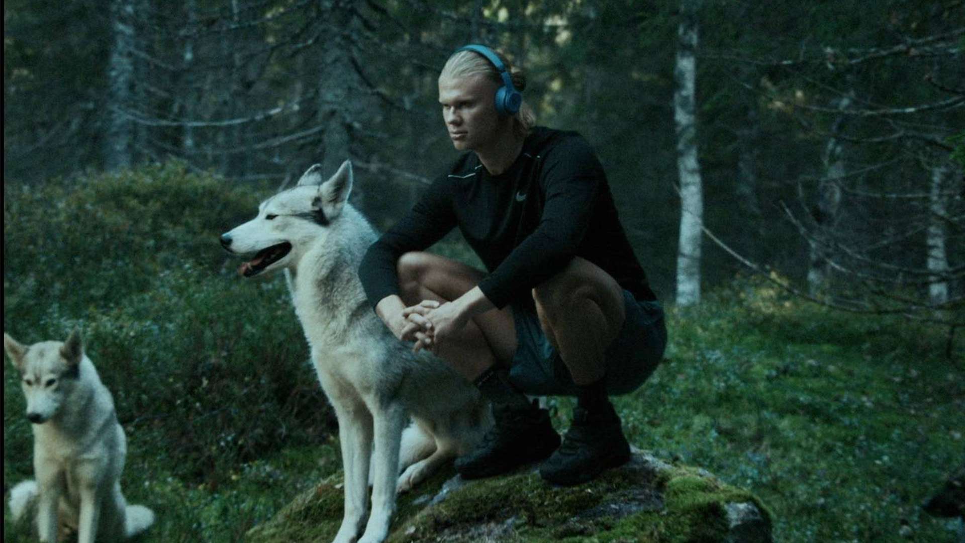 足球的未来 足球的未来